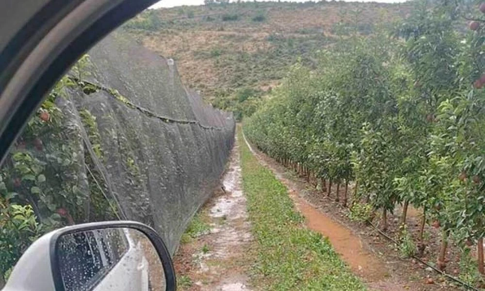 Πτολεμαΐδα: Ζημιές προκάλεσε στο πέρασμα του το χαλάζι στο Μεσόβουνο (βίντεο)